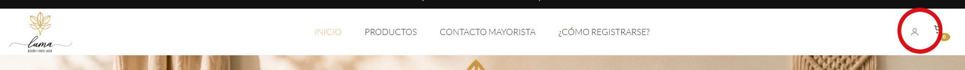 Paso 1 - &Iacute;cono de usuario